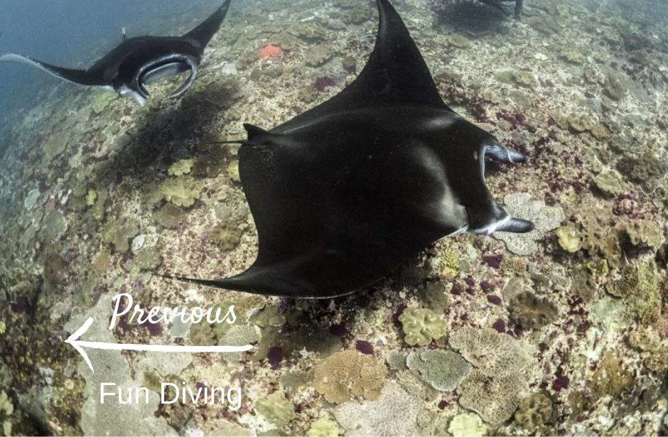 Fun diving in Nusa Lembongan with Legend Diving team