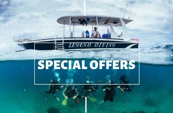 Padi Adventure Diver Lembongan