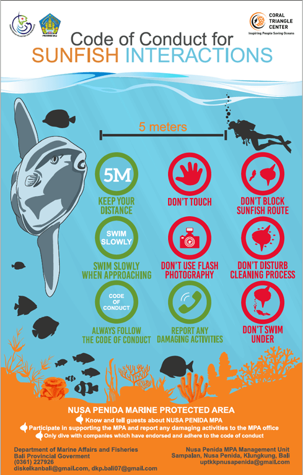 Mola Mola Nusa Penida Chart