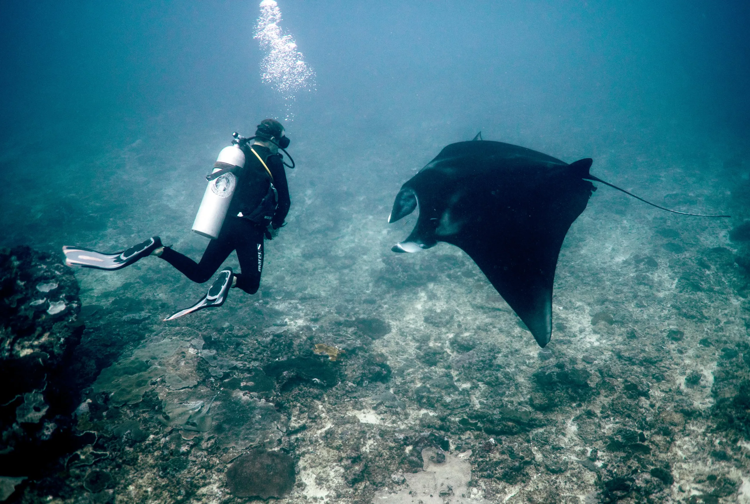 Master Scuba Diver Lembongan