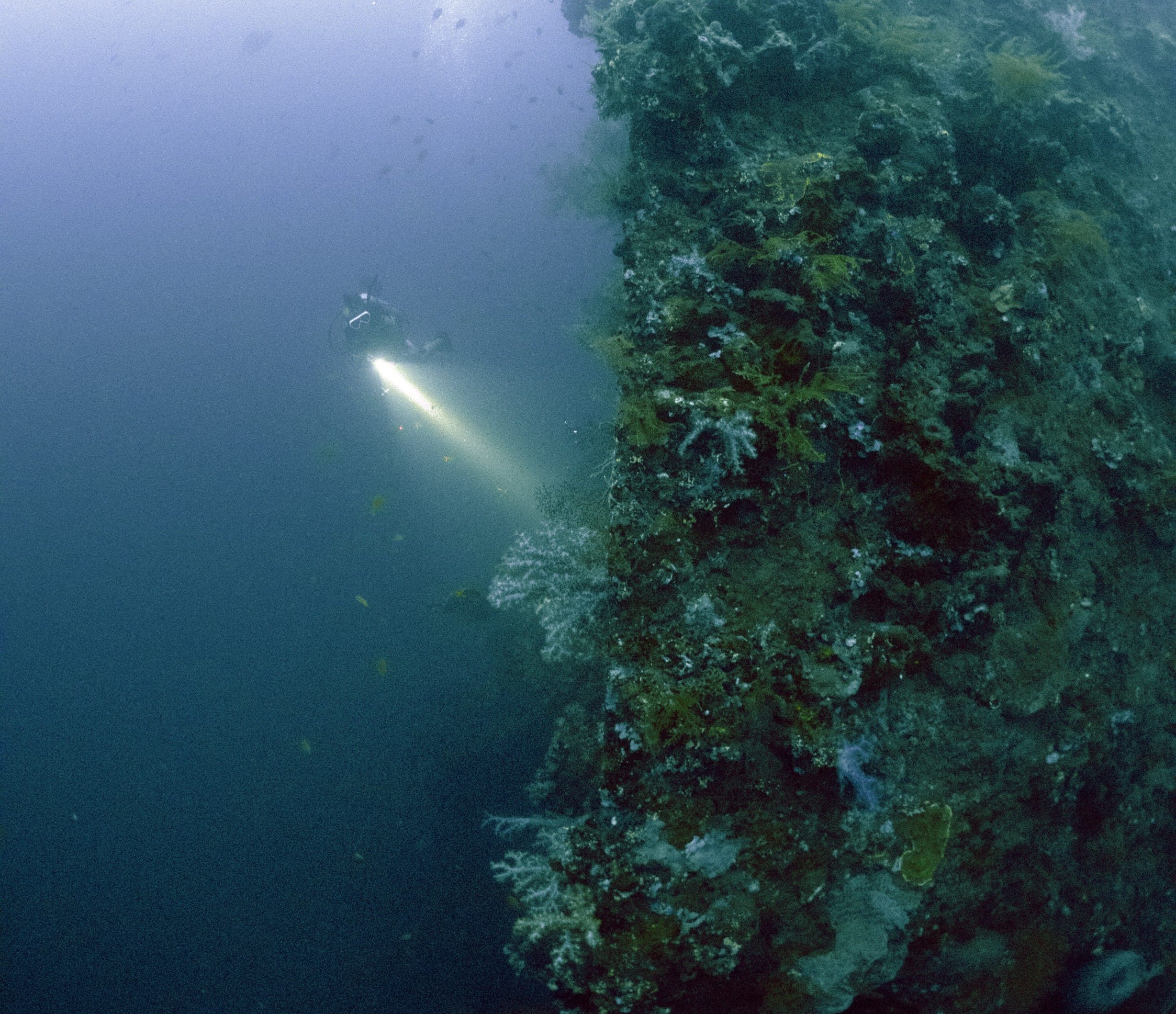 PADI ADVANCED COURSE LEMBONGAN