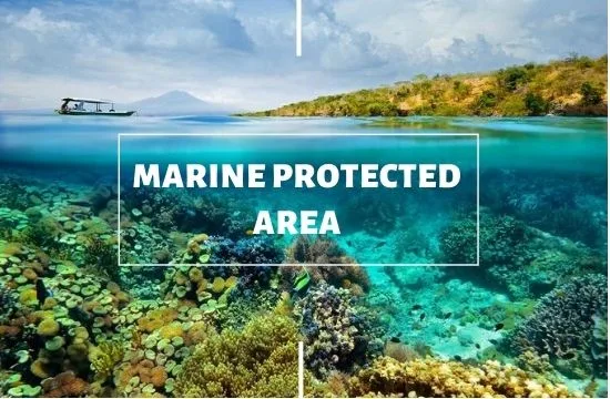 Marine Protected Area