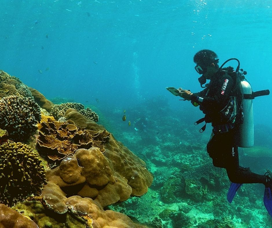 Penida Marine Protected Area