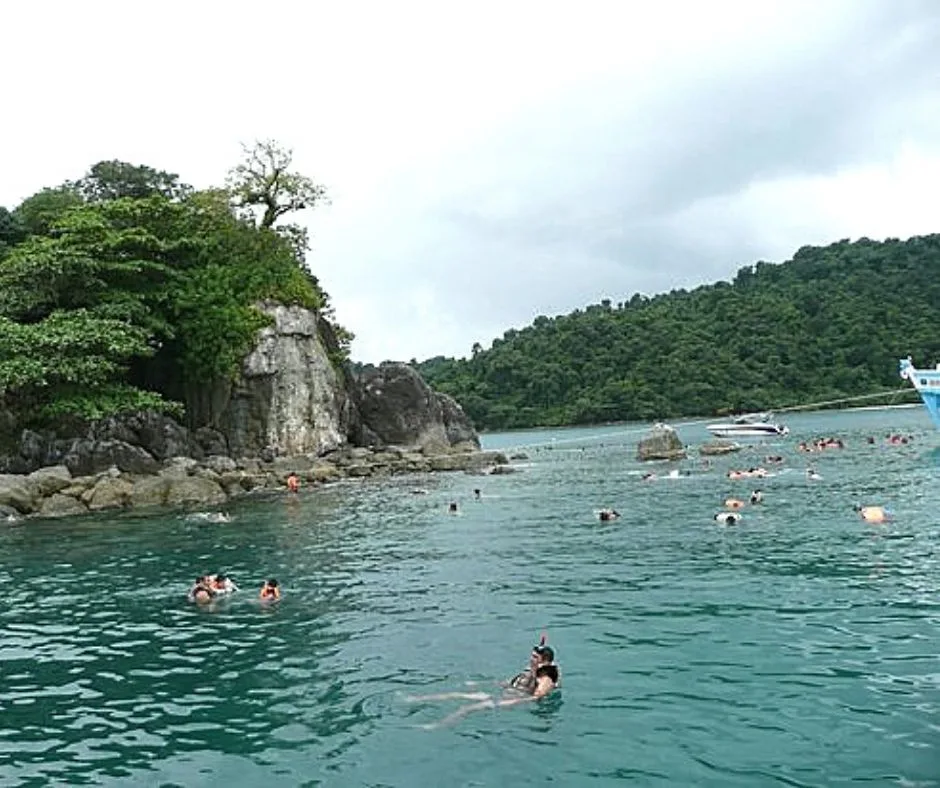 dive site crowded with snorkelers