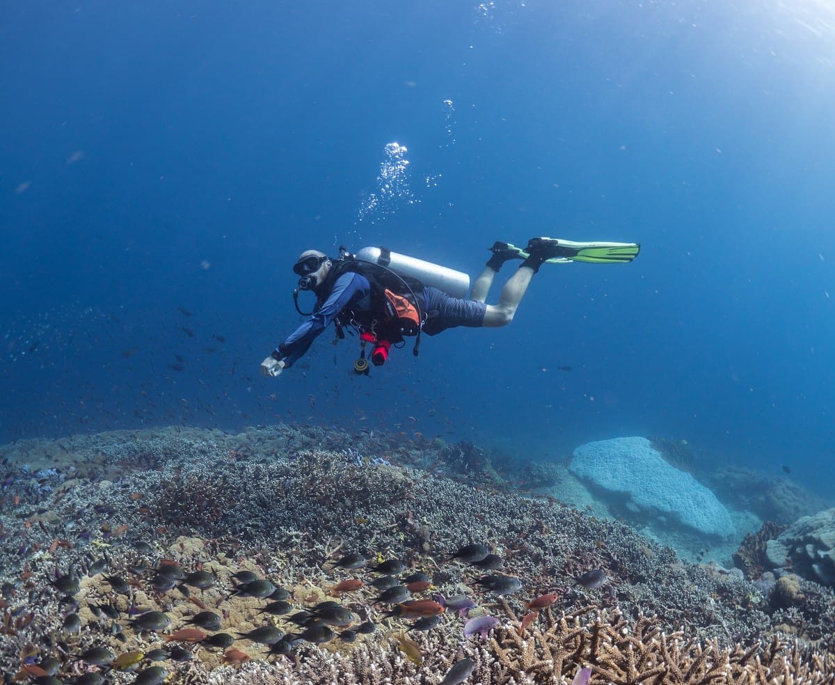 PADI Speciality Courses Lembongan