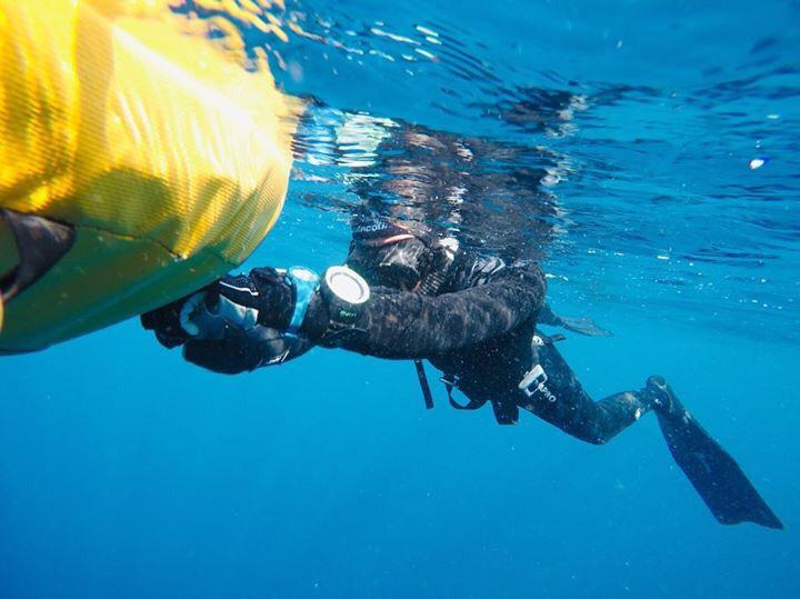 Freediving Nusa Penida