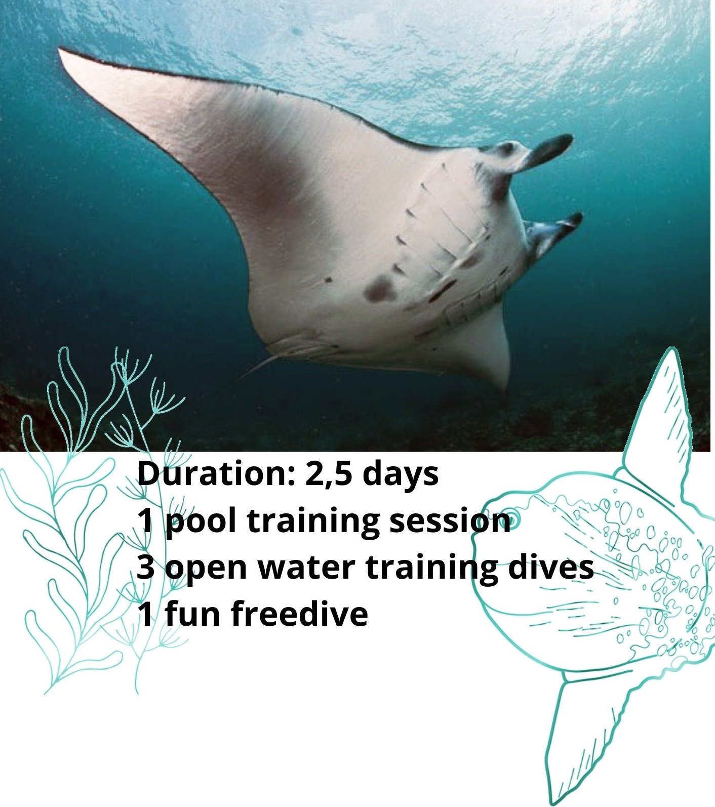 short description of freediving Nusa penida course