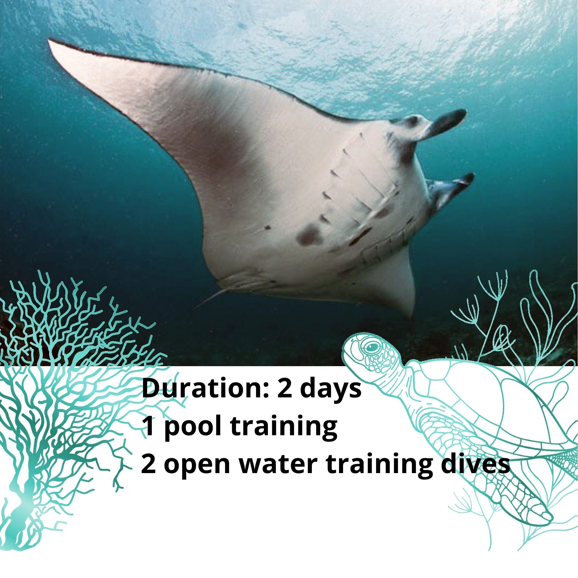 short description scuba diver course penida