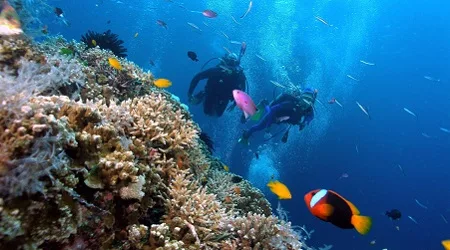 Dive Sites Nusa Penida gamat bay