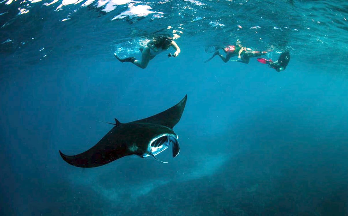  snorkeling mantas nusa Penida