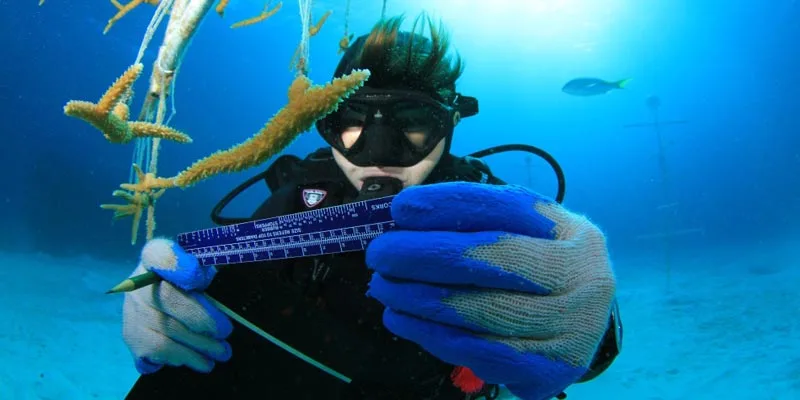 Coral & fish survey course penida