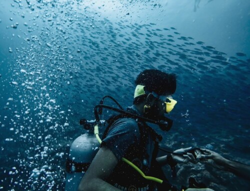 Drift Dive Penida Bali – An Underwater Adventure Like No Other