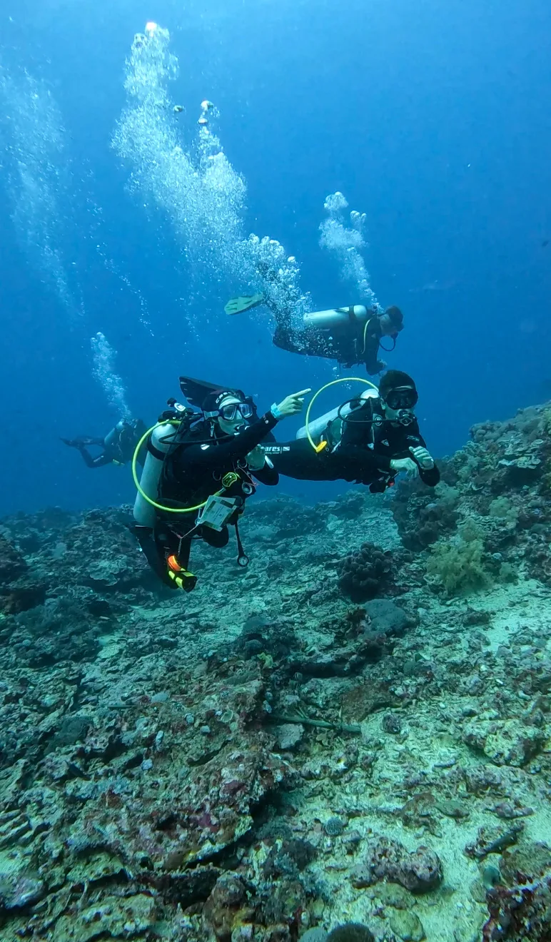 Diving with Manta Ray Indonesia