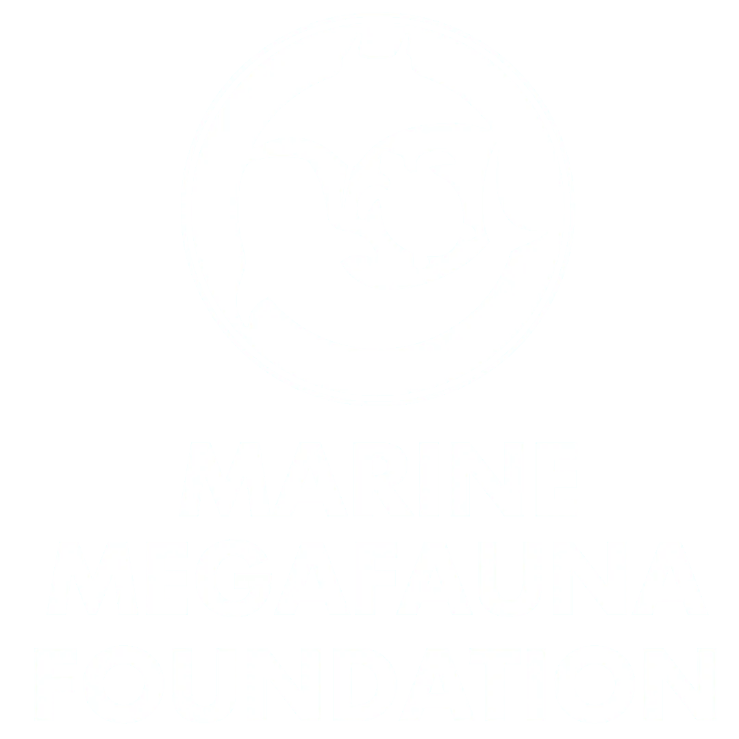 marine megafauna foundation-1