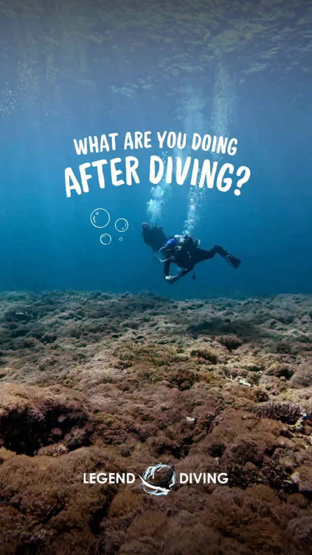 Me after dive? becomes a vacuum cleaner 🍝🌀#memedaily #funnyvideo #divers #scubadivers #diving #surfaceinterval #dive #ocean #divinglife #diverlife #scubadiver #divermemes